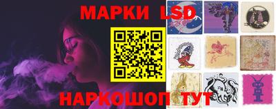 гидра Нальчик