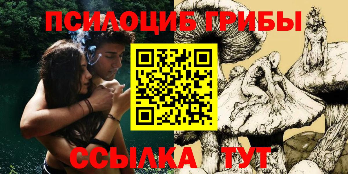 Березники  Псилоцибиновые грибы MAGIC MUSHROOMS  Вход с VPN 